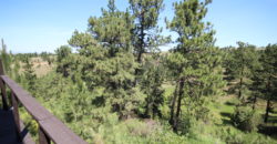 4707 Yellowstone Trail