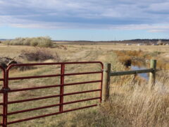 TBD 12 Mile Rd, Shepherd, MT 59079