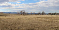 TBD 12 Mile Rd, Shepherd, MT 59079