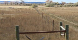 TBD 12 Mile Rd, Shepherd, MT 59079