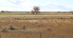 TBD 12 Mile Rd, Shepherd, MT 59079
