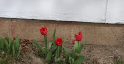2721 Louise Lane, Billings, MT 59102