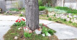 3012 Leeann Blvd, Billings, MT 59102