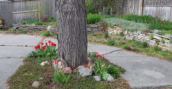 3012 Leeann Blvd, Billings, MT 59102
